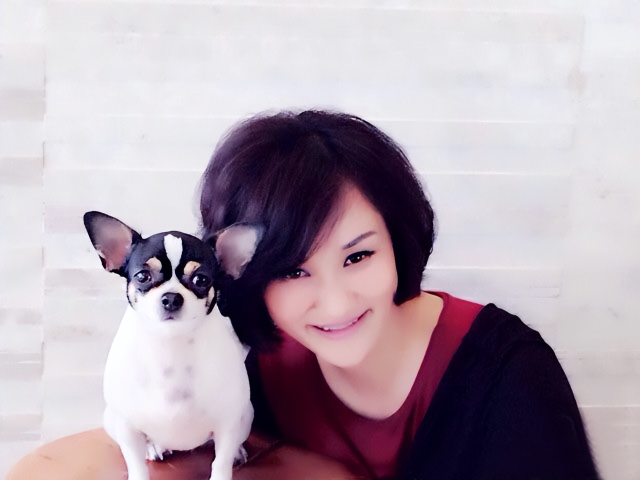 高敏家庭背景,解说员高敏