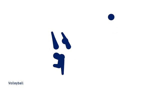 巴黎奥运会体育图标揭晓,巴黎奥运会沙滩排球场地