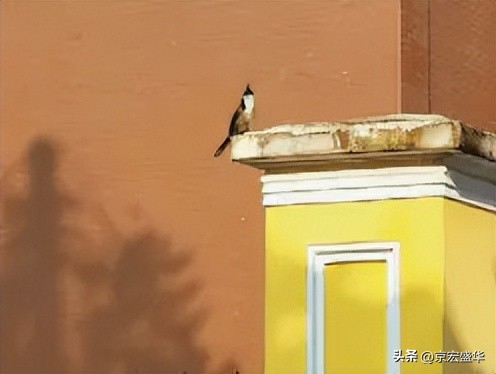 广州周边暑假十大遛娃必去景点,亲子游必打卡广州景点