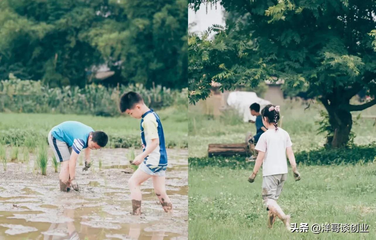 创业课堂盘点5大农村赚钱项目,适合农业的赚钱项目