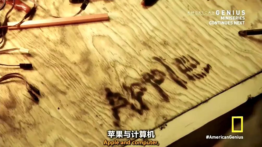 神仙打架！国家地理宝藏纪录片，教会孩子如何竞争