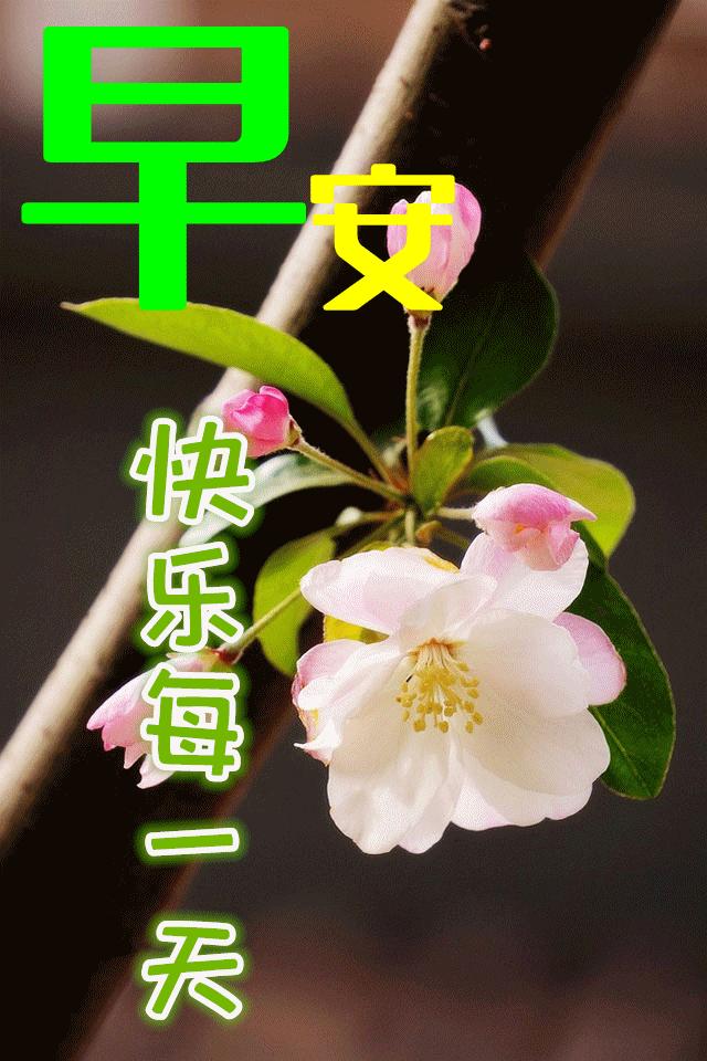 正月十八发大财,正月十八发财的祝福