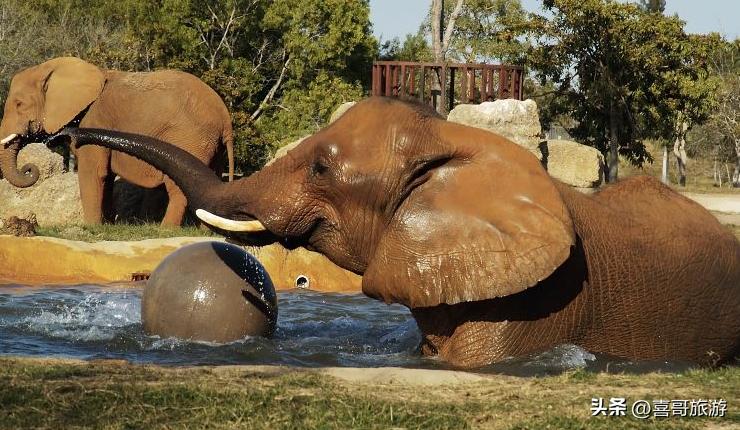 美国迈阿密属于哪个州,迈阿密大学属于哪个州