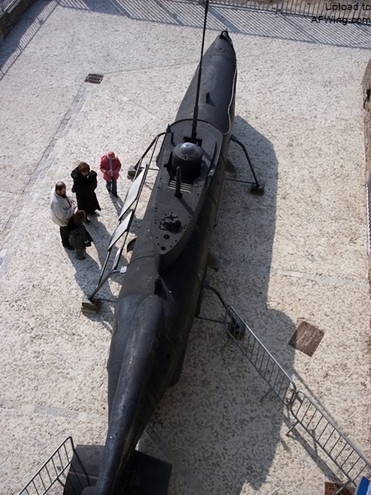 德国海军王牌潜艇,海豹的演化史