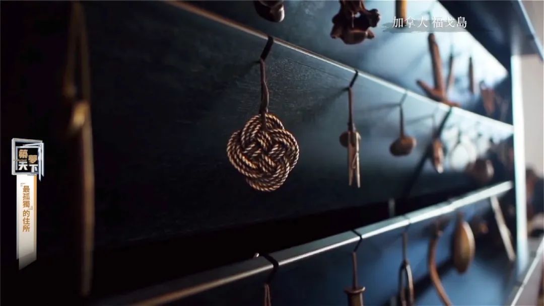 孤岛探秘试玩,孤岛探秘小说