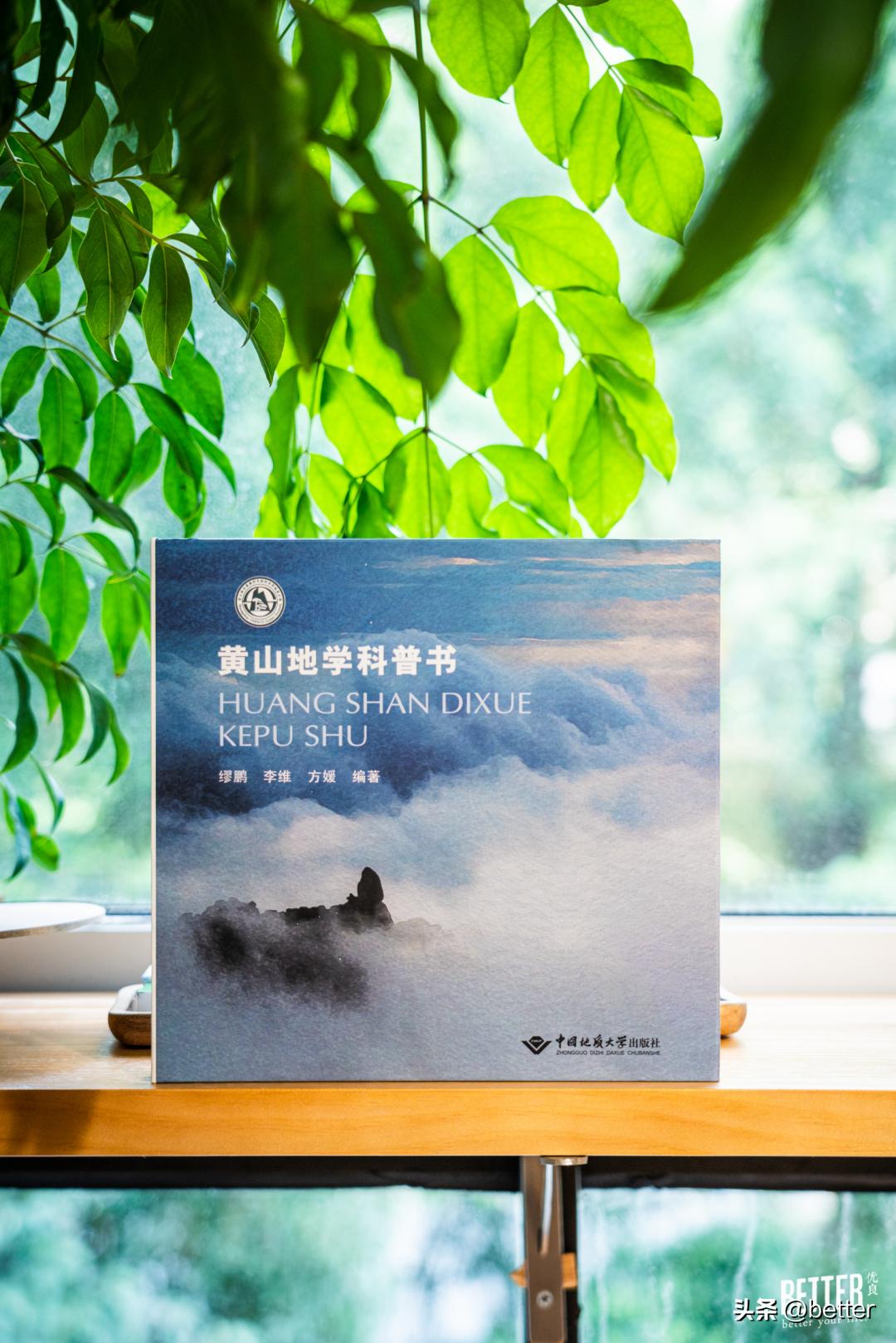 我在这家化石手作店，体验了一把「赌石」的快乐