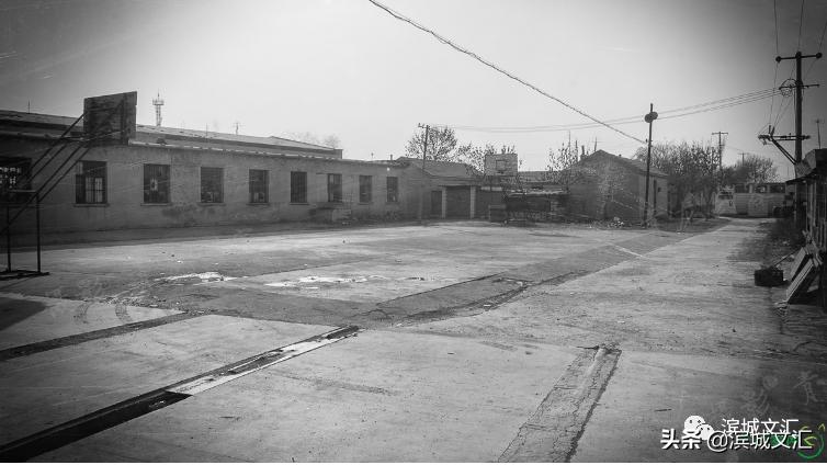 塘沽记忆,记忆中的张老师