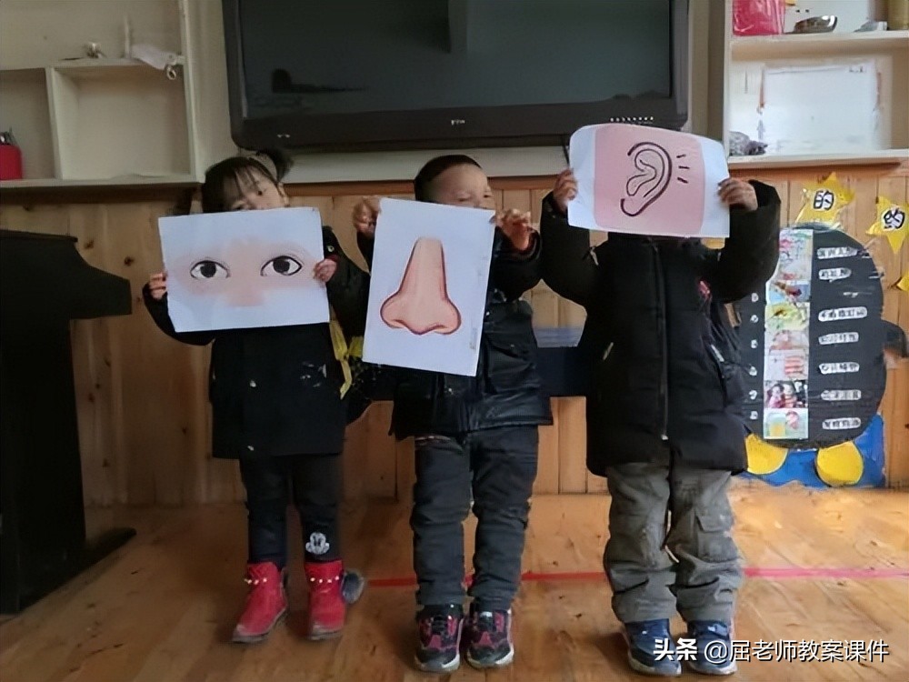 中班健康奇妙的鼻子教案,中班科学有趣的鼻子公开课教案