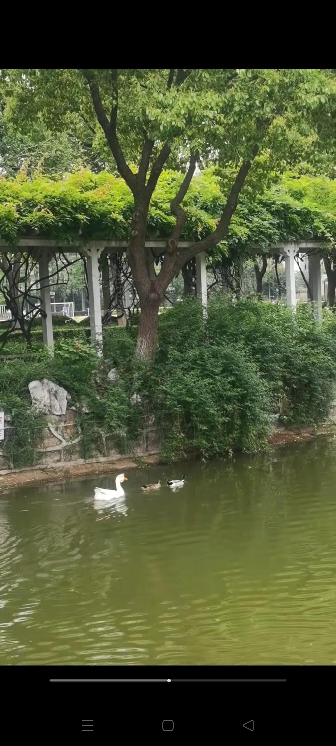 家的故事装修公司,家的故事游戏