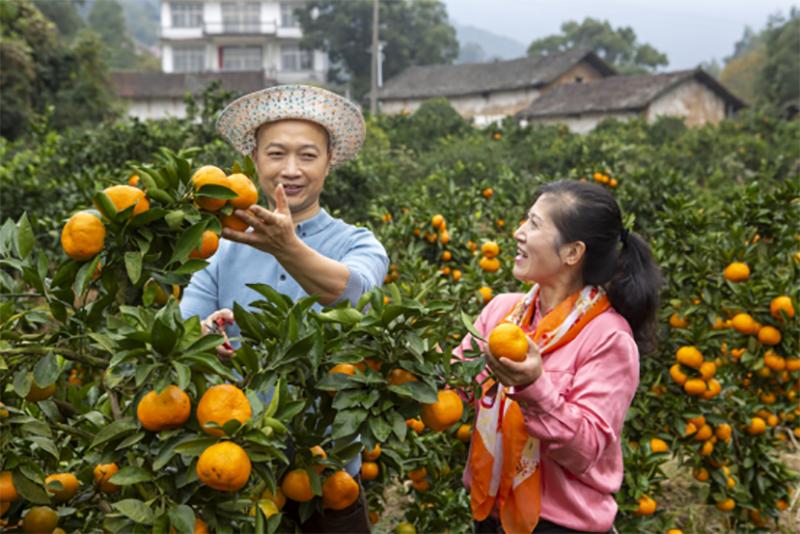 庐山西海景区日接待量最大多少,庐山西海景区司马旅游码头