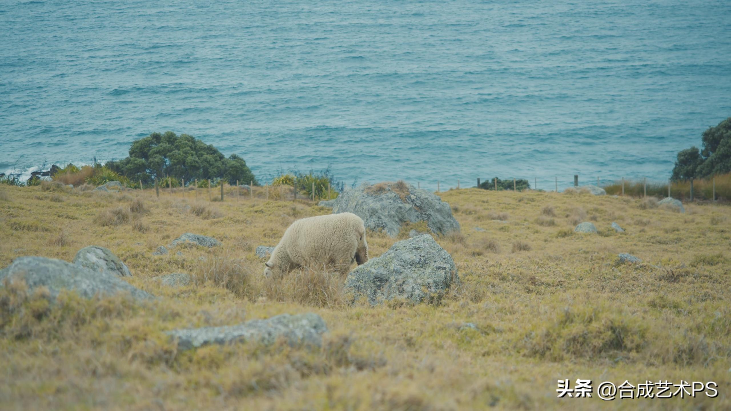 新西兰乡村风景,世界独一无二的新西兰景色