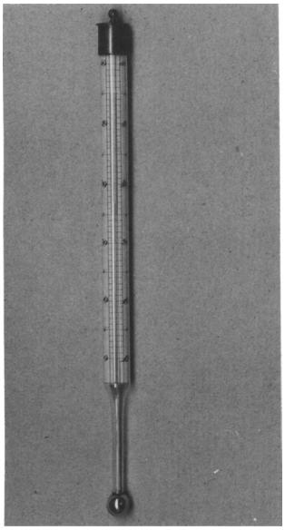 人体正常体温低烧,前几年人的正常体温