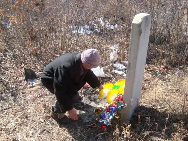 坟上有洞有什么寓意,坟旁生三树子孙后代富是啥意思