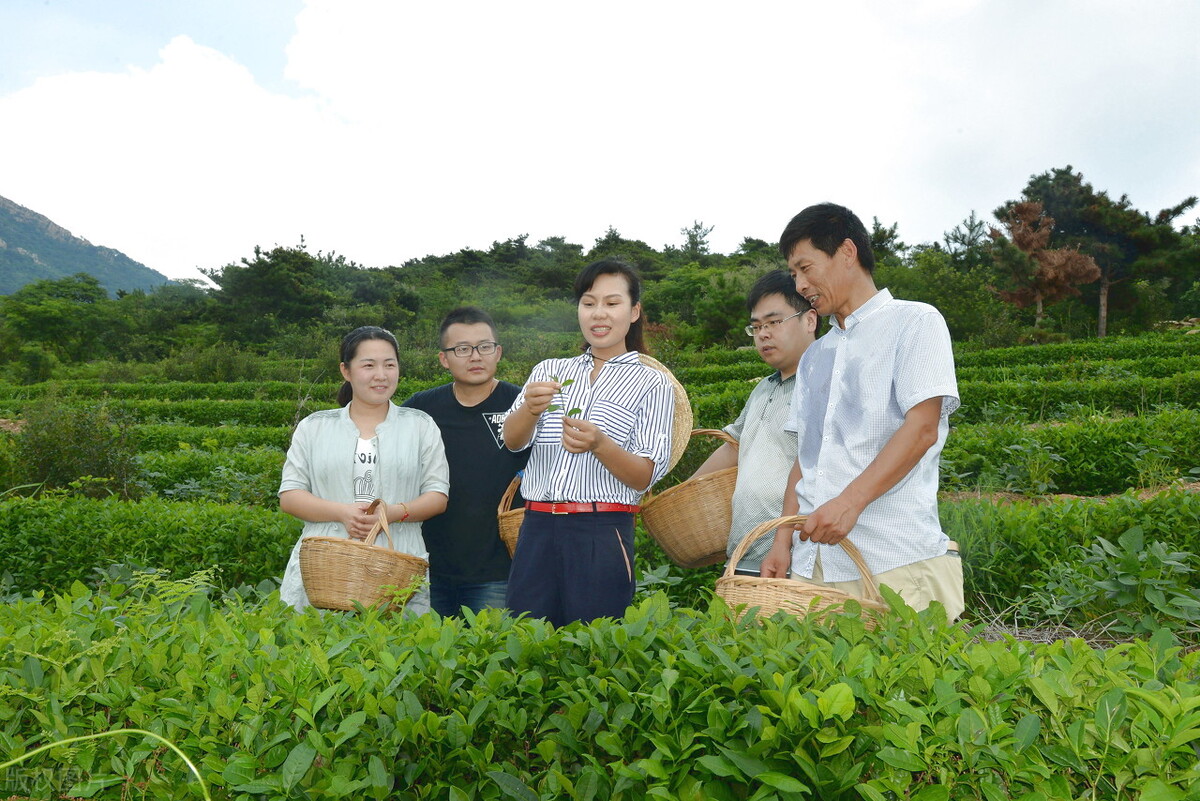 大学生就业是选择农村还是城市,为什么现在大学毕业都到农村发展