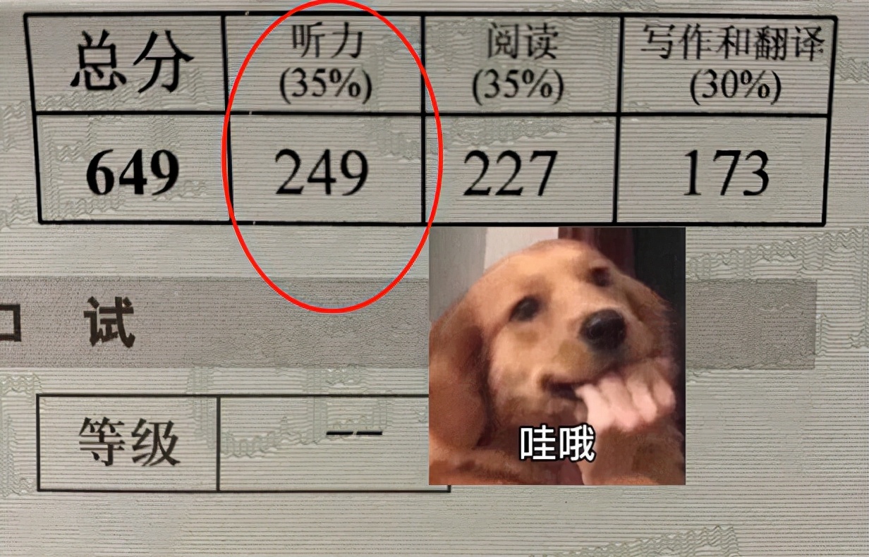 四六级英语听力怎么听才有效,英语四六级听力该如何练