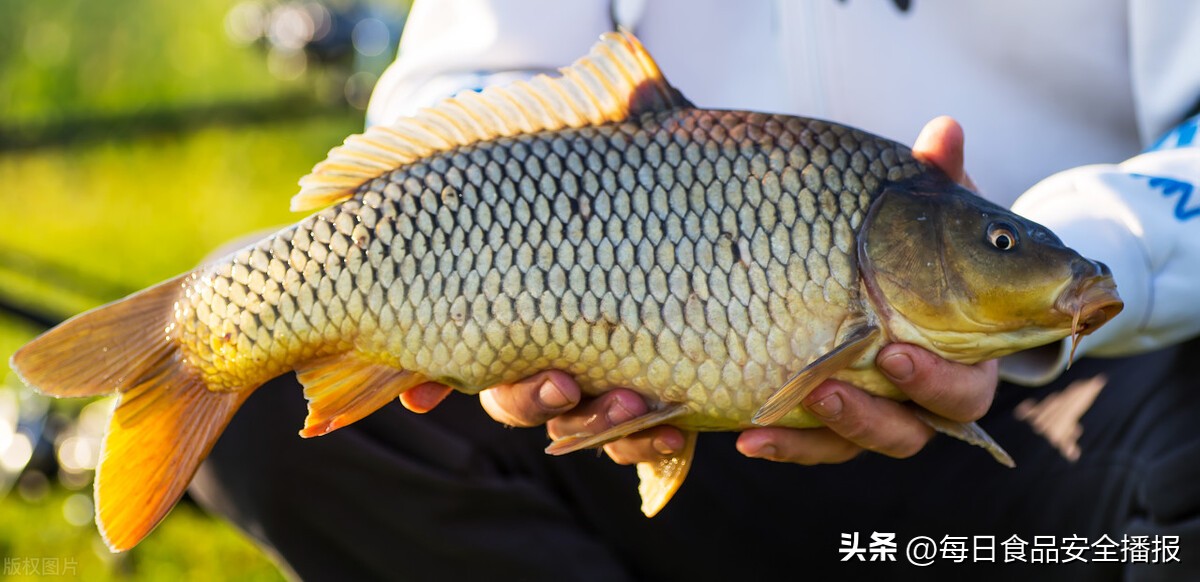 注意了,北京曝光8批问题食品,含辣椒面、牛肉、海蟹、鲤鱼
