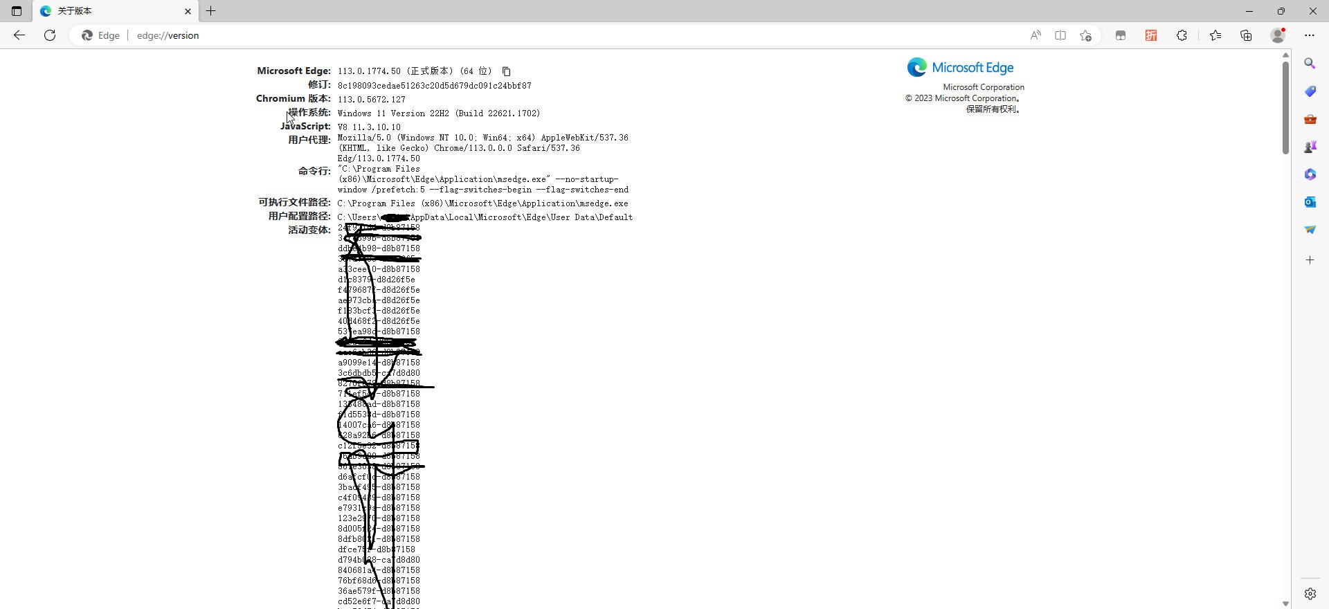 chrome浏览器怎么加速网页,edge缓存优化