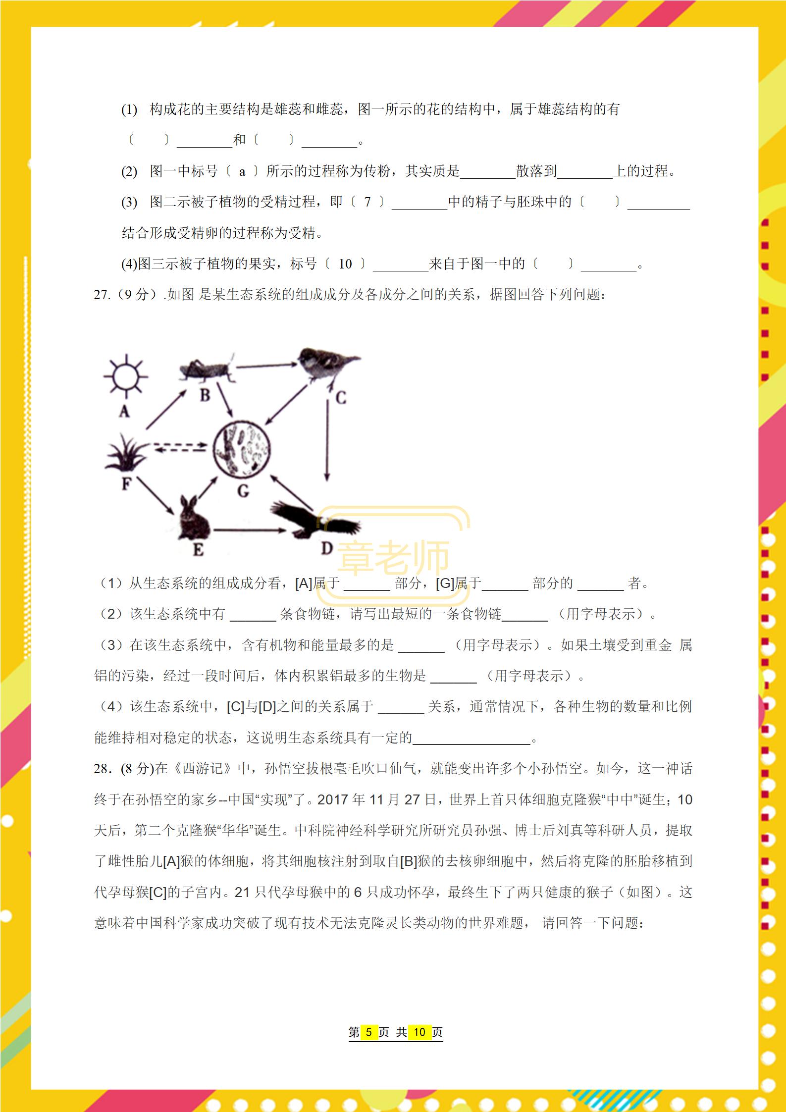 高考生物二轮复习重点及高分策略,生物总复习初中答题技巧