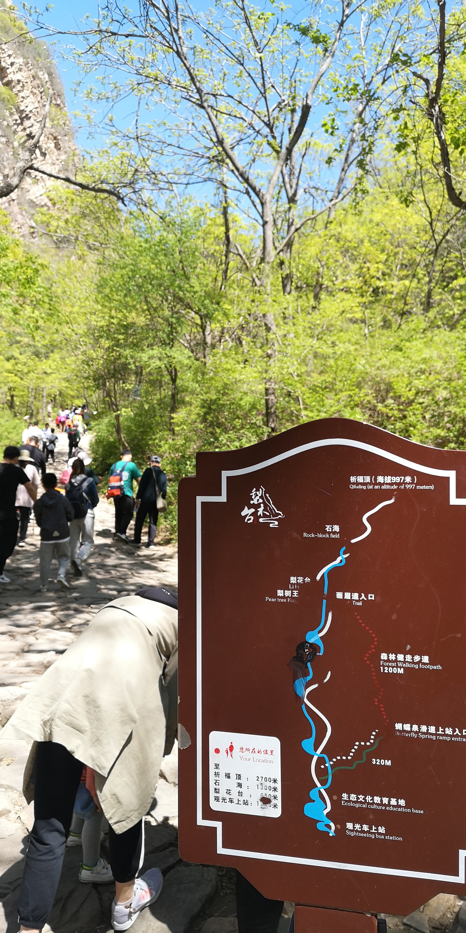 天津梨木台景区值得夏天去的地方,天津蓟县梨木台风景区路线