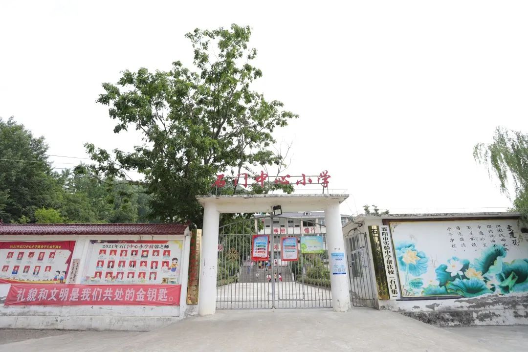 富德中支小海豚公益活动,富德人寿小海豚计划保险