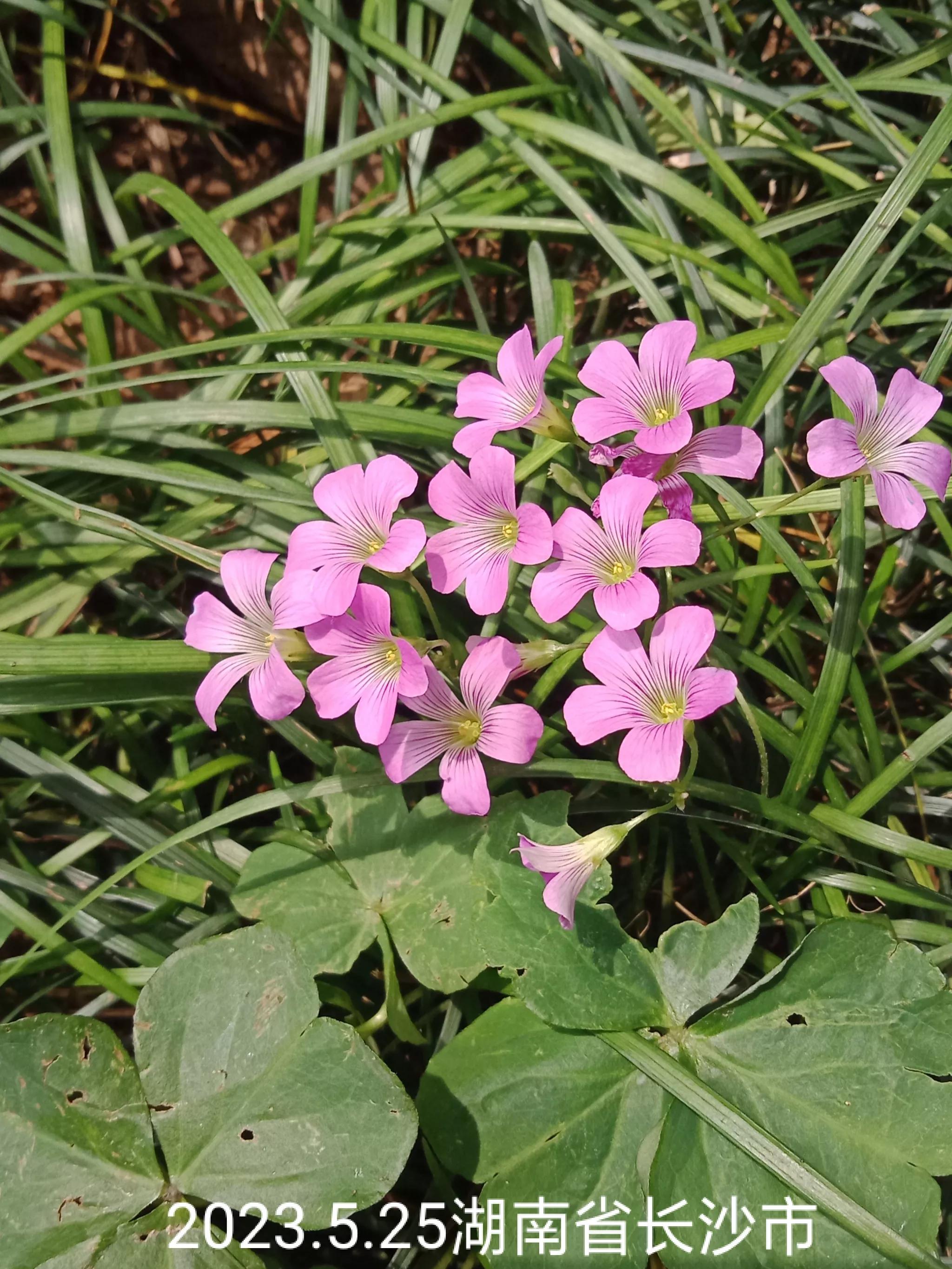 微信群忘保存找不到怎么办,怎么保存微信群里面的人