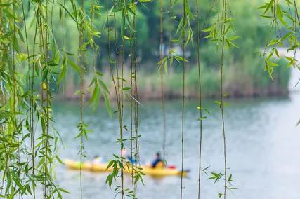 物是人非事事休欲语泪先流,物是人非事事休欲语泪先流天蝎座