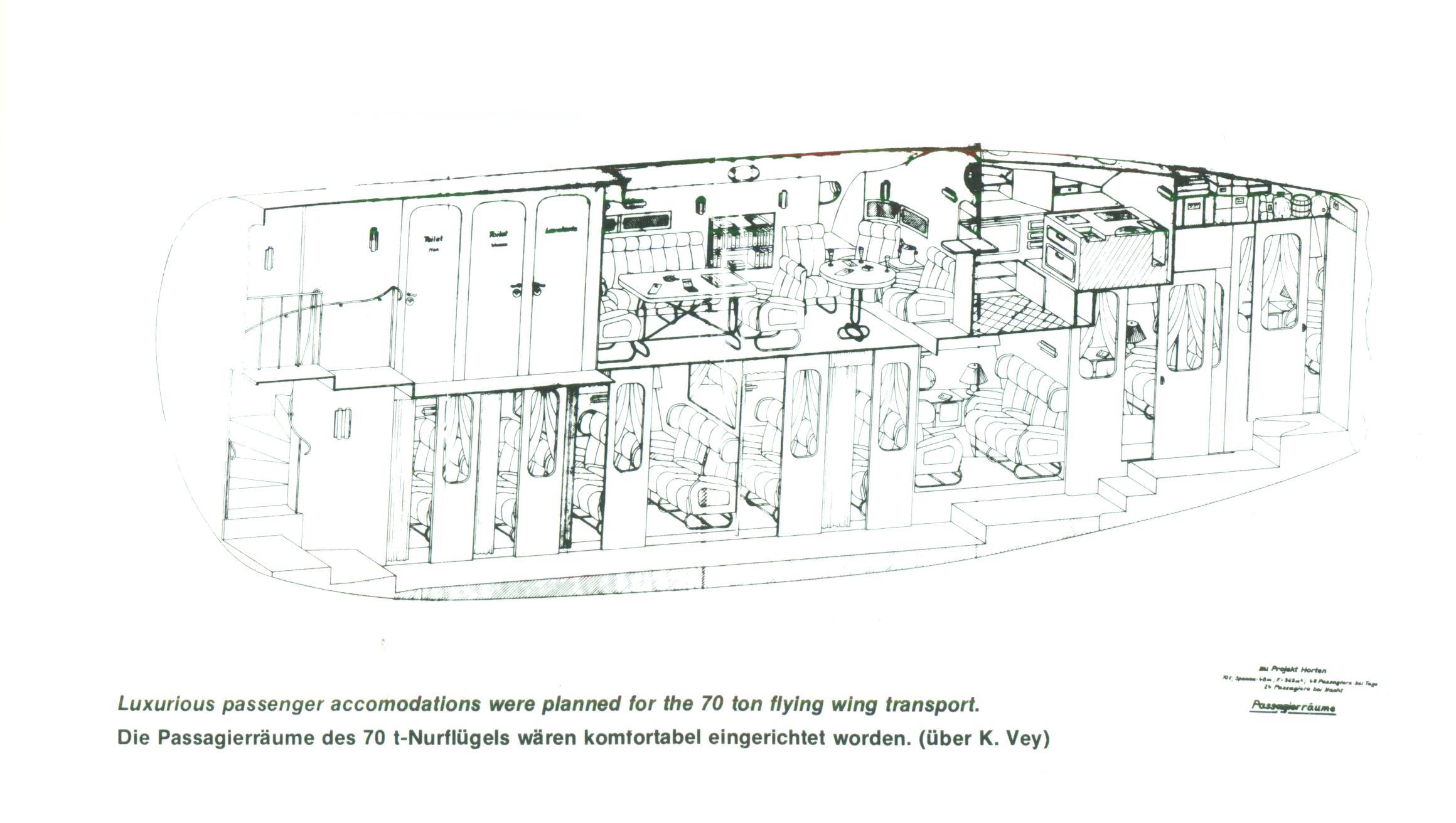 有趣的飞行器18-运水果的科幻大飞翼