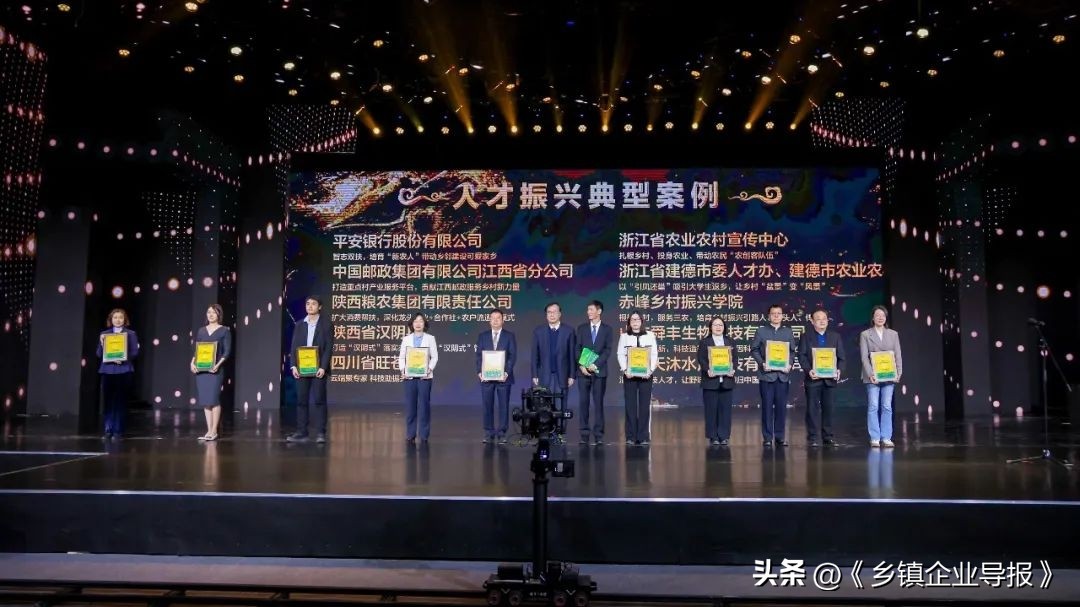 乡村振兴赋能计划人才典型案例,乡村振兴之文化振兴案例