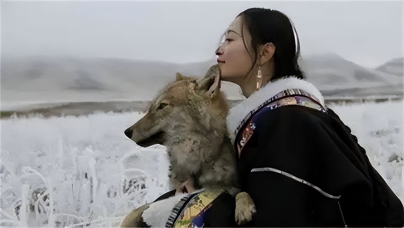 成都画家在草原写生收养狼的故事,成都女青年画家意外收养一只幼狼