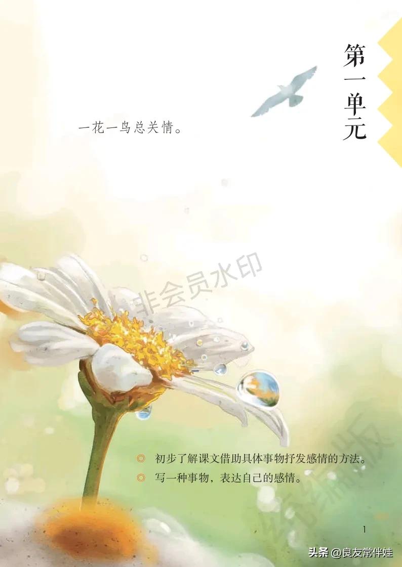 五年级上册语文电子课本,五年级上册语文教材分析