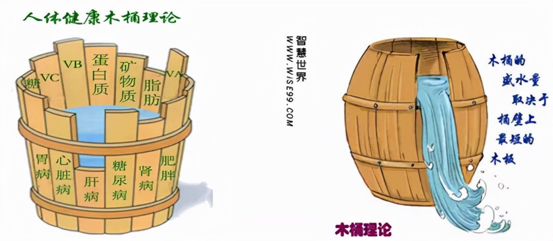 北体胡晓飞,养生锻炼调理身体养生知识