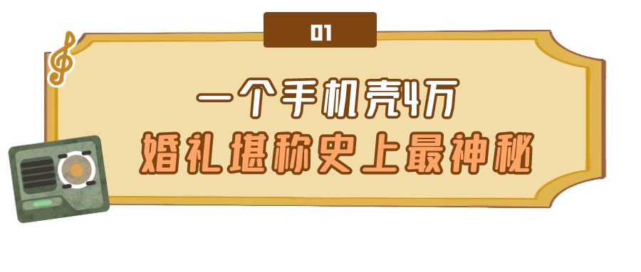 唐嫣用万元手机壳引巨大争议,唐嫣用4万块钱买一个手机壳