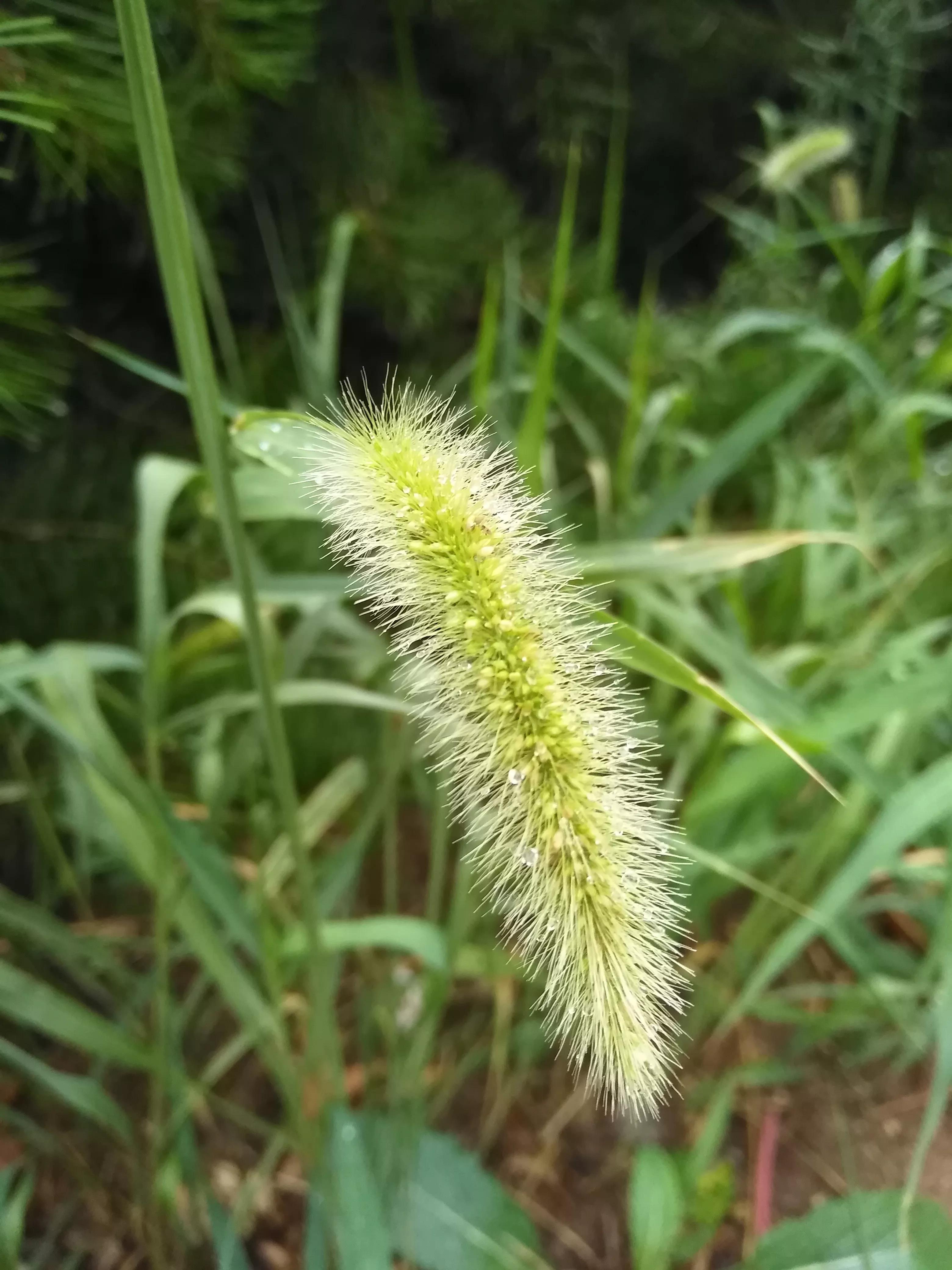 把人家鼻梁骨打断了赔多少钱,被人打鼻梁骨对方不肯赔偿