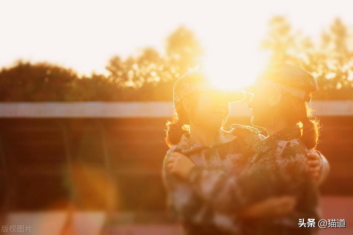 神经网络预测股票,神经网络股票分析