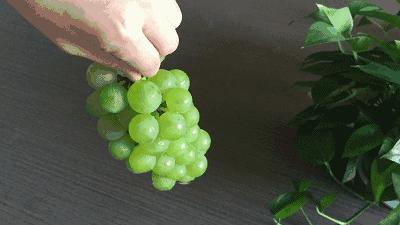 养生初秋宜吃葡萄补气血益肝肾,补肾健脾最好的食物葡萄