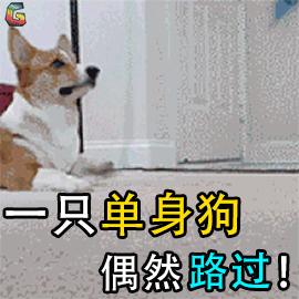 机加人的生活,太真实了!