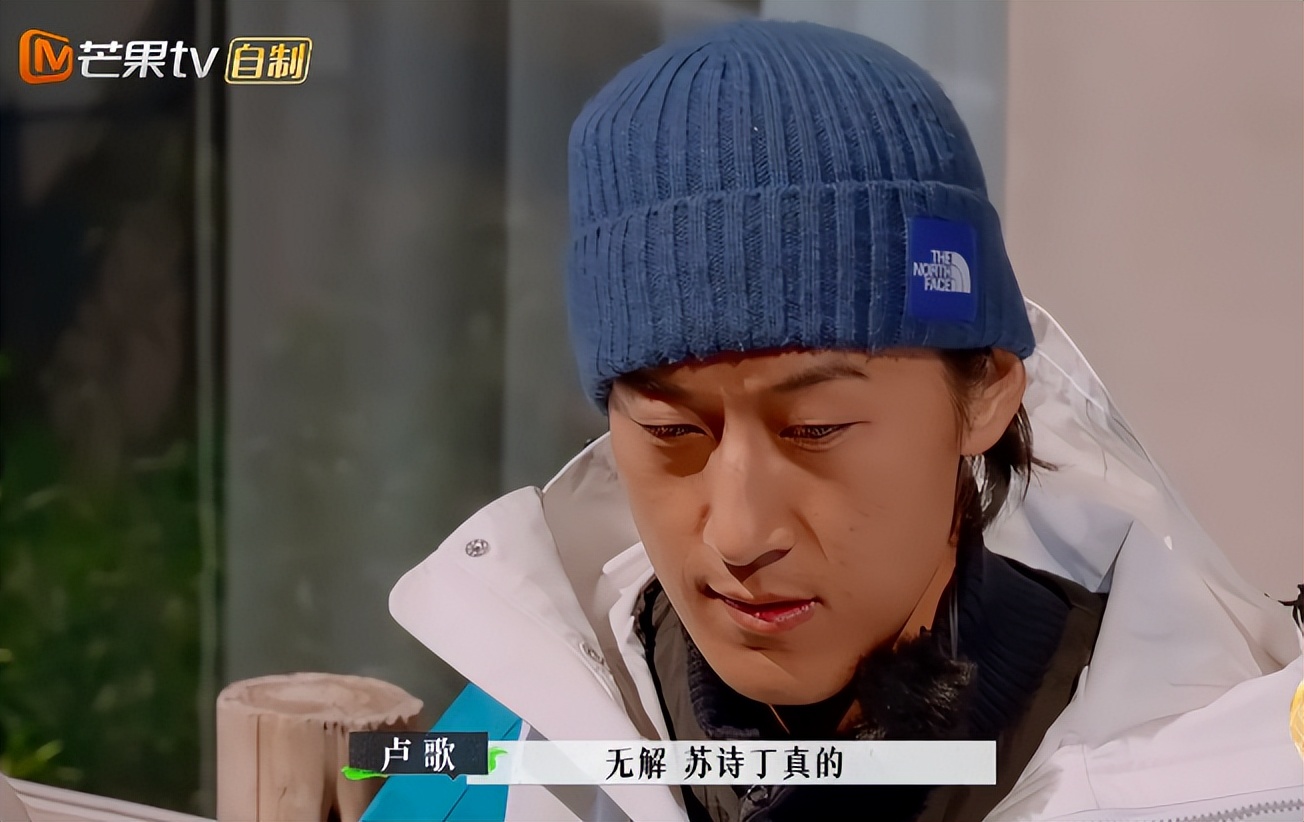 苏诗丁和卢歌再见爱人结局,再见爱人2苏诗丁和卢歌复合了吗