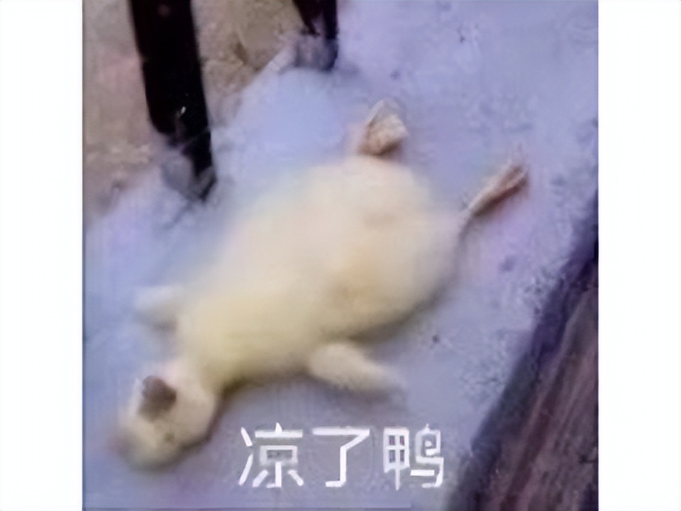 盘点停运的五款游戏,韩国停运网游