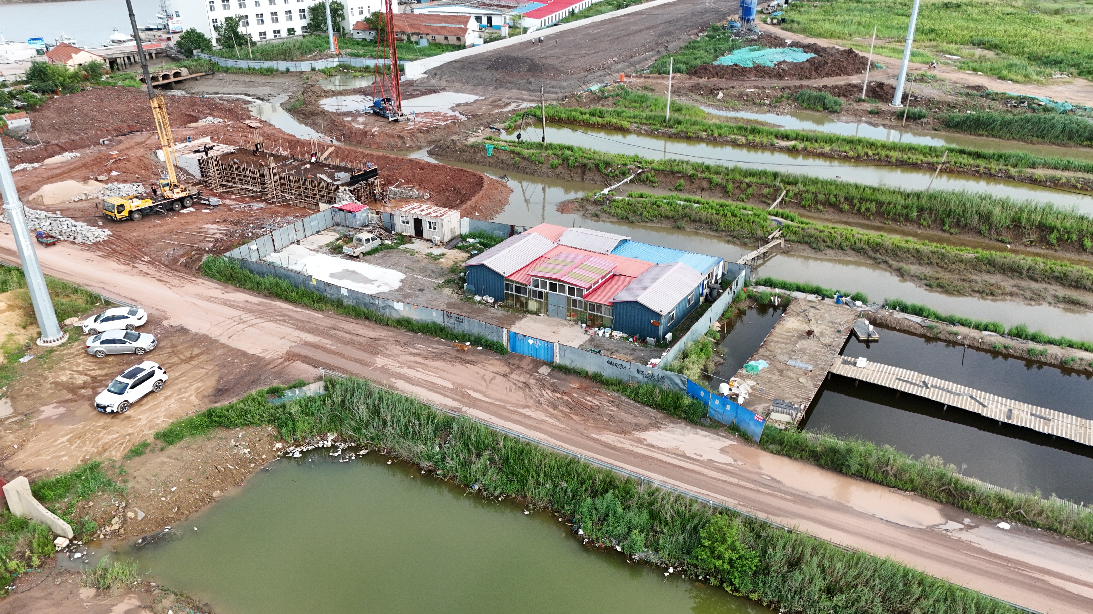 这个码头，99%的青岛人没来过！