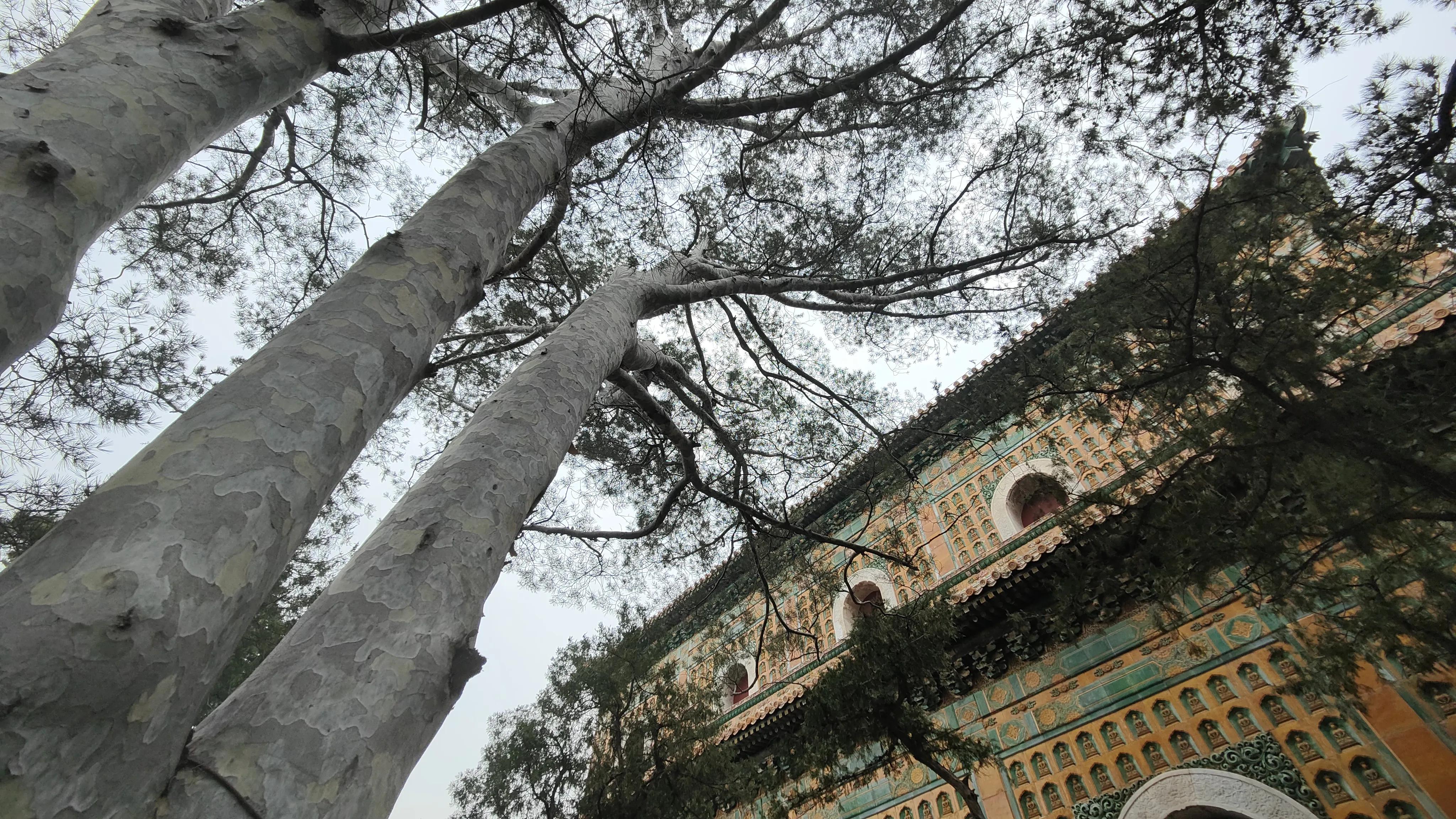颐和园全程导游讲解词,颐和园景点讲解导游词