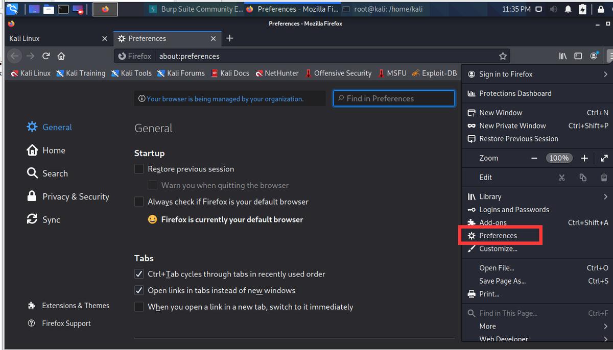 kali中burpsuite怎么汉化,kali里面自带burpsuite吗