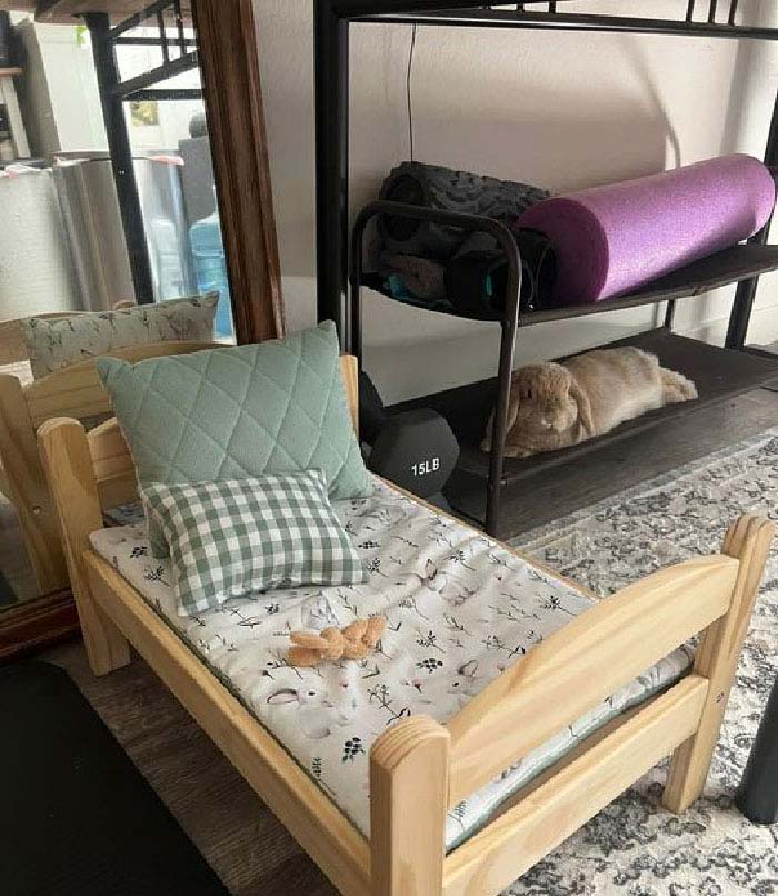 兔兔超可爱的真人照片,兔兔超可爱露脸照片