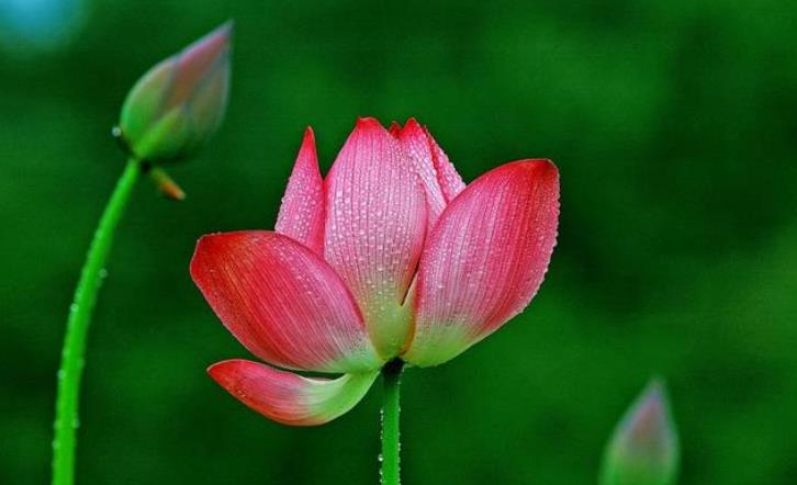 一个人的穷和富是不是命中注定的,一个人贫富差距对比图