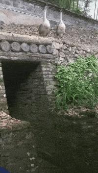 姑娘下次自拍的时候整理一下房间吧，你的秘密都被大家发现啦