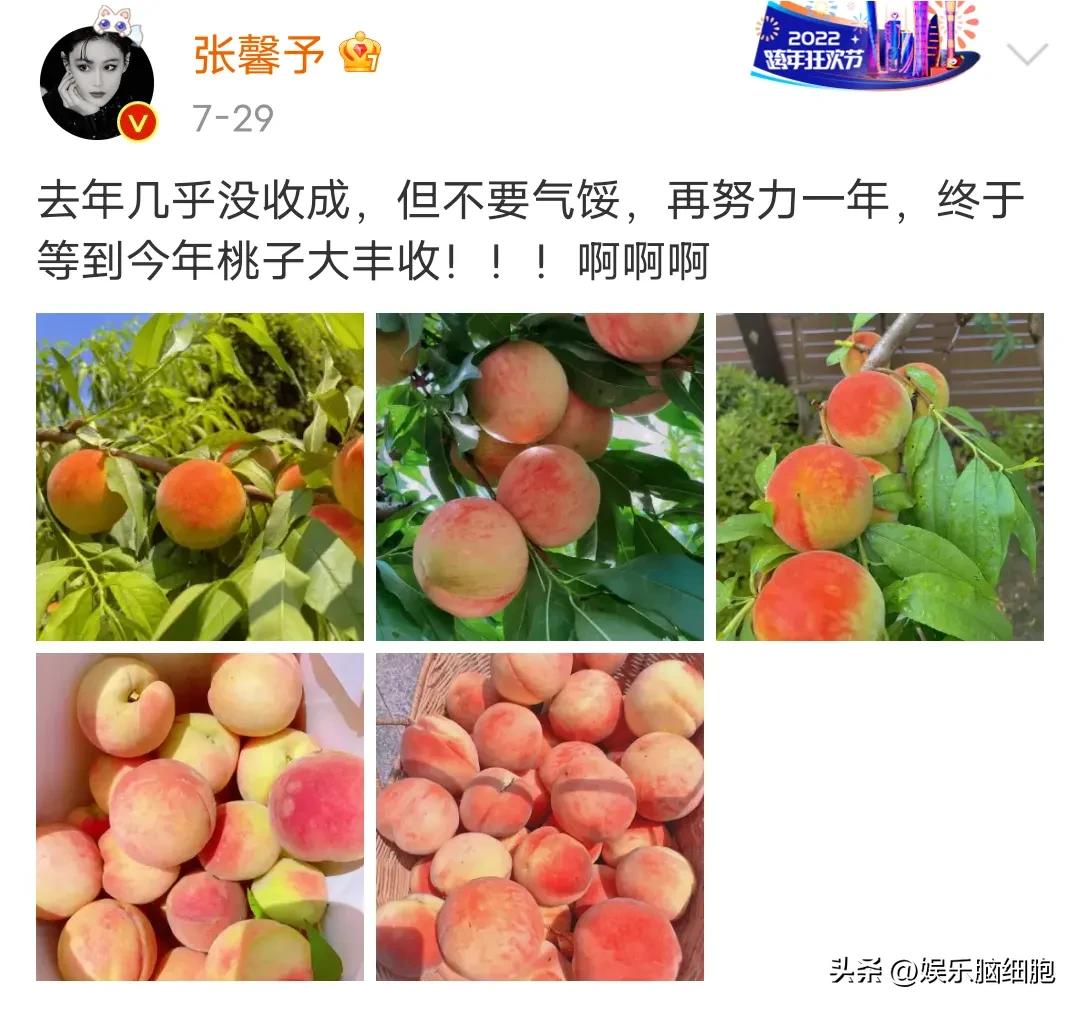 张馨予之前的情路也颇为坎坷,张馨予感情史