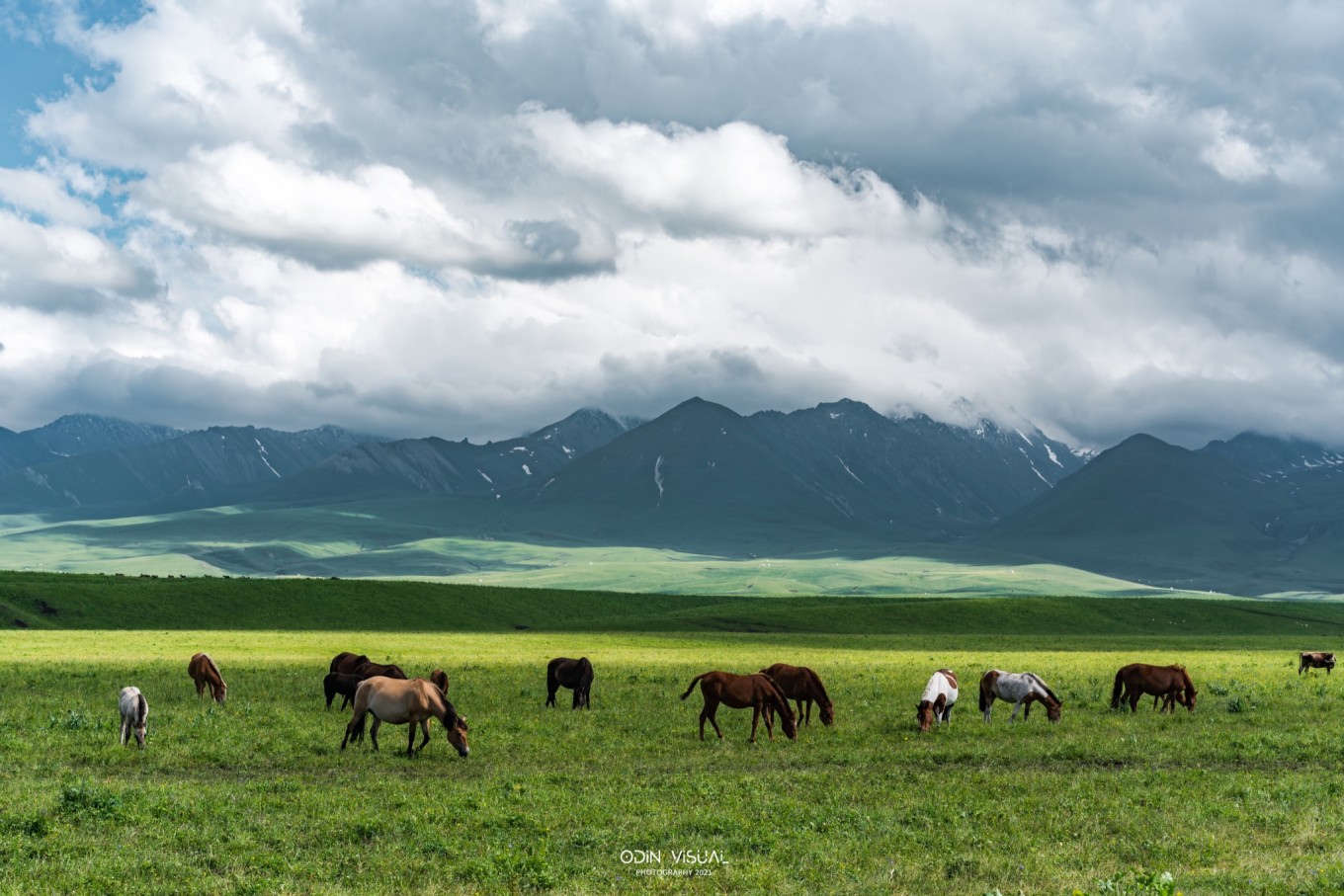 去新疆发现伊犁的美,世界之美尽在伊犁