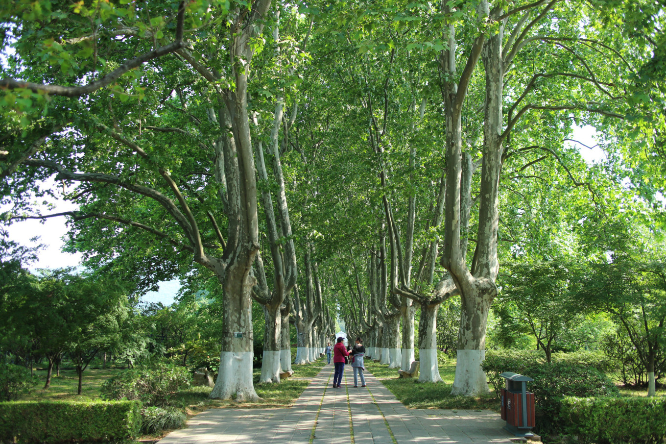 南京烧香的地方,南京烧香拜佛