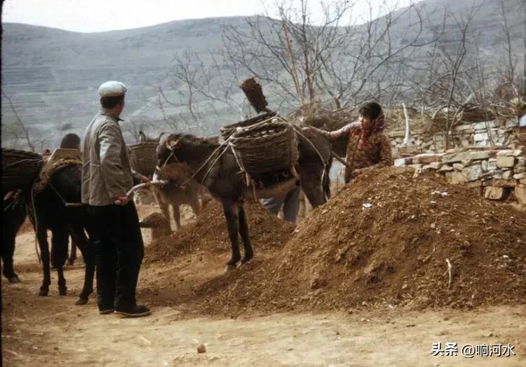 【原创小说连载59】爱恨蛤蟆坪十六（1）