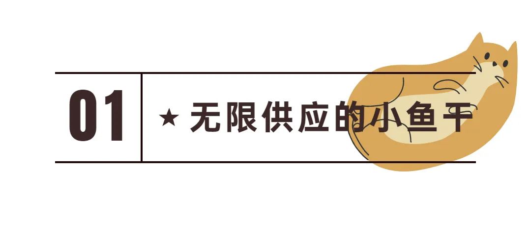 新手常见的害猫行为,养猫注意预防哪些疾病