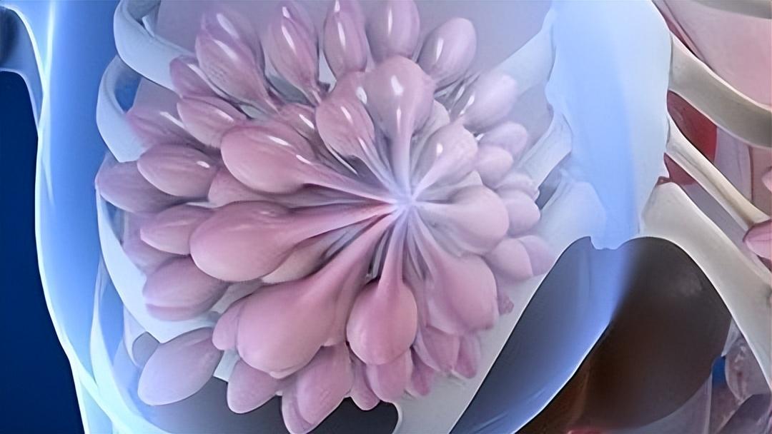 去医院做乳腺检查需要多长时间,乳腺增生的医院报告单看不懂